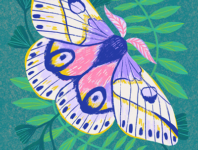 Moth & Fern artwork botanical art digital art digital illustration fern illustration moth procreate wall art wildlife