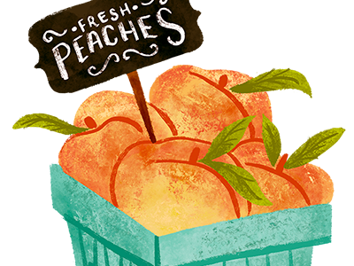Peaches digital illustration farmers market fruit peach