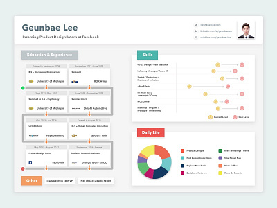 Resume/CV - Data Visualization Format (Dashboard)