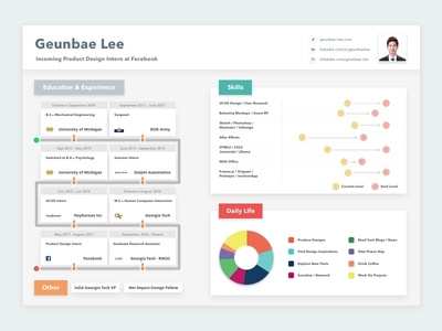 resume cv data visualization format dashboard by resume cv data visualization format dashboard by
