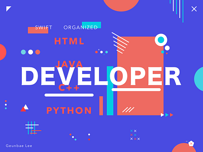 Developer - colorful poster exploration