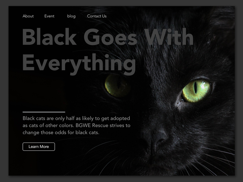 Daily UI 003 Landing Page (above the fold) pet rescue xd adobexd 003 daily ui ui cat black cat