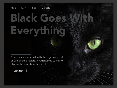 Daily UI 003 Landing Page (above the fold) 003 adobexd black cat cat daily ui pet rescue ui xd