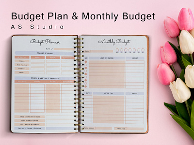 Budget Plan & Monthly Budget Planner Template branding design facebook fb cover graphic design hotel trifold brochure illustration planner ui