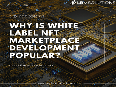 Why is Whitelabel NFT Marketplace Development Popular?