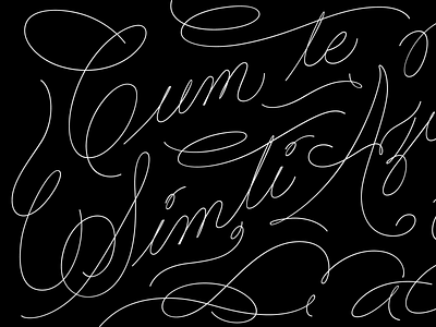 Cum Te Simți calligraphy copperplate custom custom lettering custom type flourishing lettering type