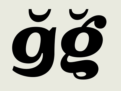OTC Riga Two-story -g Diacritics character font font design fonts glyph type type design typedesign typeface typography