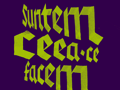SCCF 1 calligraphy custom lettering illustration letter lettering type typography