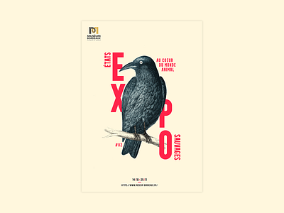 Poster #2 - Crow animal crow museum photoshop poster poster design print scientific scientific illustration