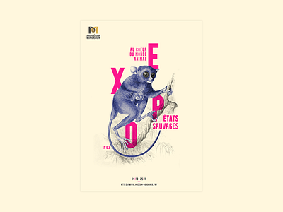Poster #3 - Tarsius animal design museum photoshop poster poster design print scientific scientific illustration