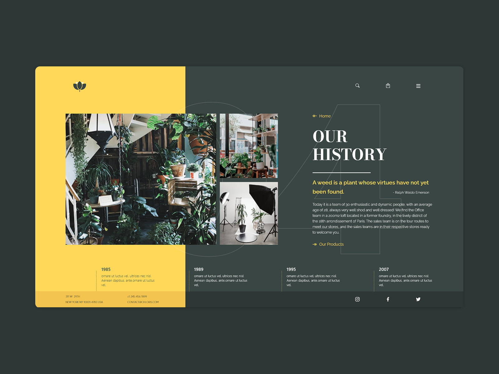 History Page _ Chloris by Qntn on Dribbble