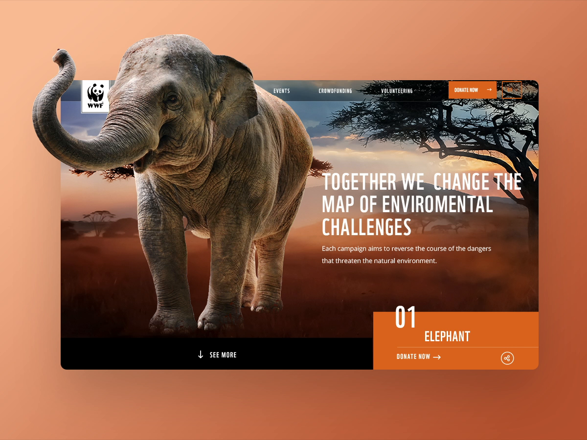 Digital Campaign Hub for WWF  by wedia on Dribbble