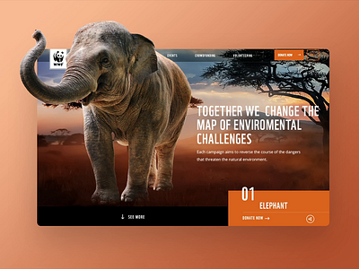 Digital Campaign Hub for WWF animals digital design resposive ui design user experience ux design webdesign wwf