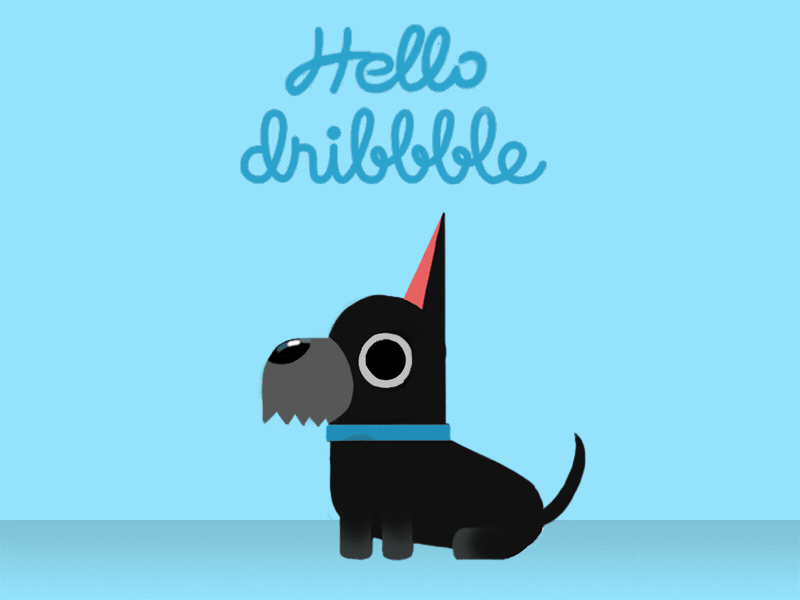 HELLO Dribbble! doggy dribbble gif puppy