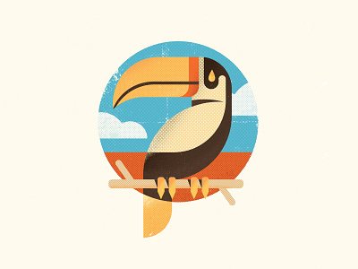 Toucan bird illustration texture toucan