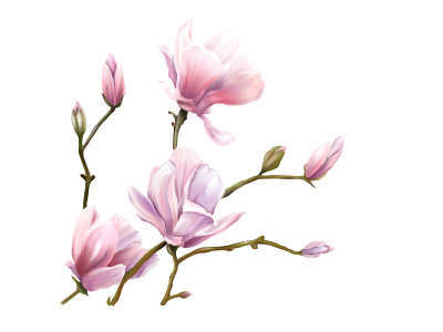 Purple Flower design illustration vector