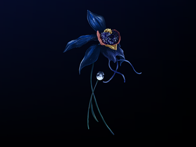 Blue Ghost Orchid