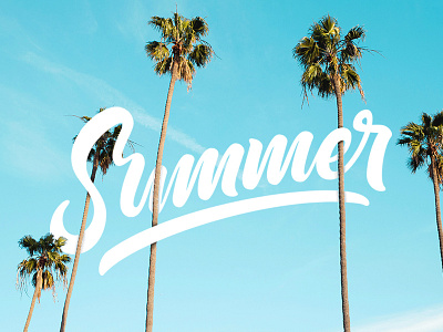 Summer calligraphy handlettering palmtrees photo summer type vector