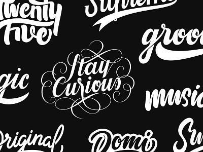 Calligraphy & Handlettering Collection Three calligraphy collection handlettering portfolio type typography vector