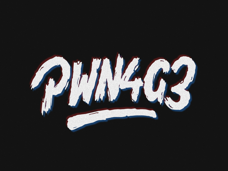 PWN4G3 gaming rough grunge illustration customtype lettering typography vector type handlettering