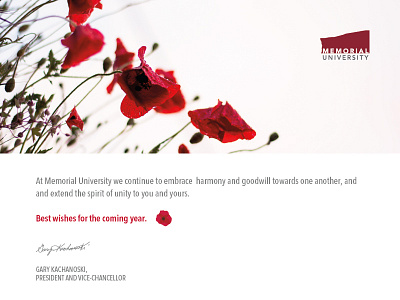 Remembrance Day E-Card eleanora macpherson memorial university nurses remembrance vad vpa war women ww100