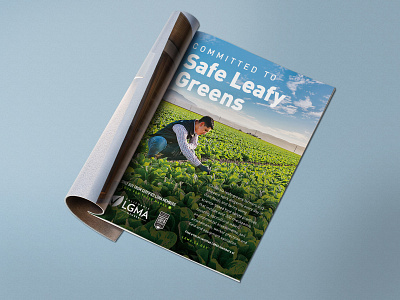 Safe Leafy Greens Print Ad ad adobe illustrator agriculture california farmer farming harvest lettuce magazine nature photography produce