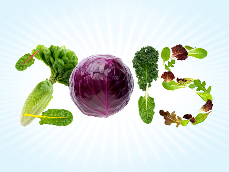 Leafy Greens Marketing Agreement 2015 by MJR Creative Group on Dribbble