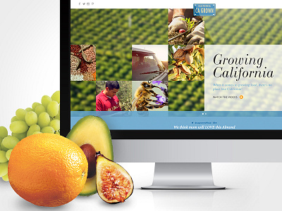 California Grown Website Design avocado california citrus farmers grapes growers oranges produce responsive web design ui design website