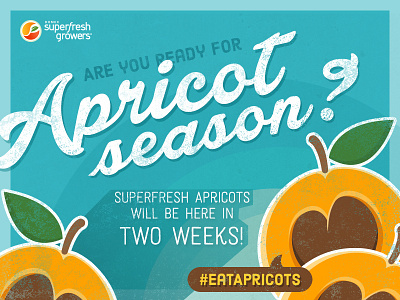 Superfresh Apricot Countdown apricot season apricots countdown fruit hashtag social media