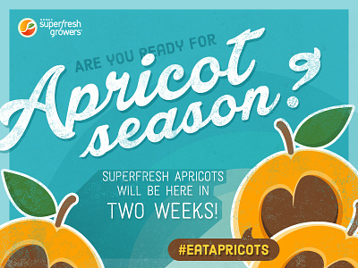 Superfresh Apricot Countdown