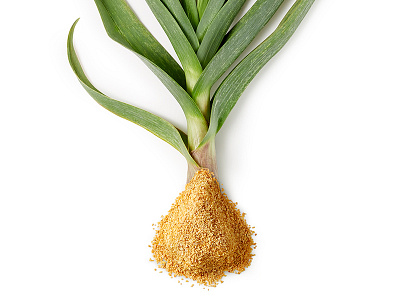 Olam SVI Garlic Concept Photography agriculture food photography garlic garlic powder photography plant