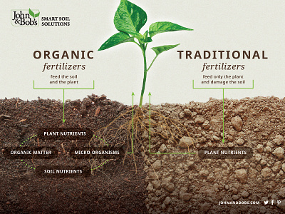 Soil Infographic fertilizer gardening infographic organic plant roots soil