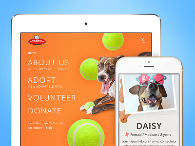 Miss Winkles Pet Adoption Center adoption animals cats dogs pet adoption pets responsive web design ui design