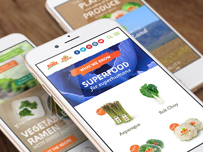 Foxy Fresh Produce agriculture food mobile web responsive web design ui design vegetables web design website