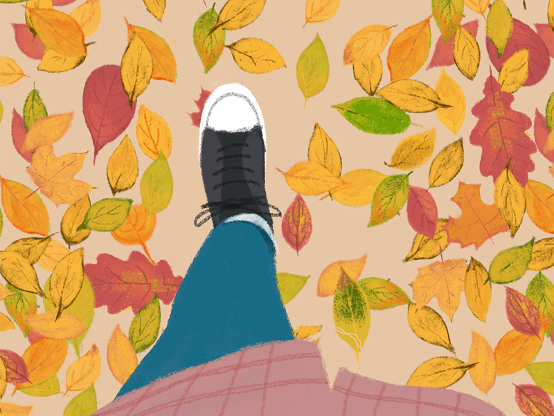 Crunching Leaves in Prospect Park animation autumn fall gif illustration leaves