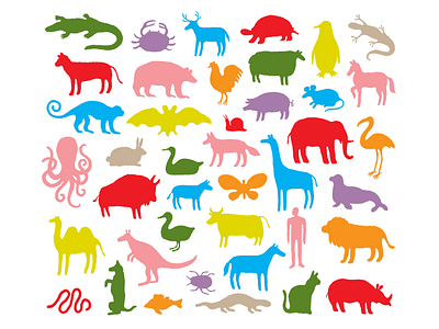 ANIMALES animal illustration animales animals humans illustration illustrator nature pattern species zoo
