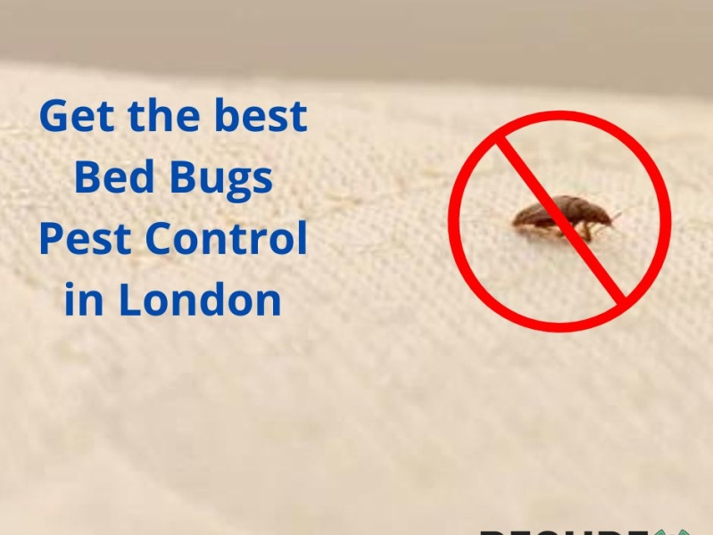 Get the best Bed Bugs in London by BeSure PestControl on Dribbble