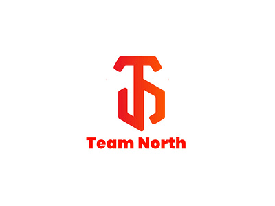 Logo mark for team north branding design graphic design motion graphics vector