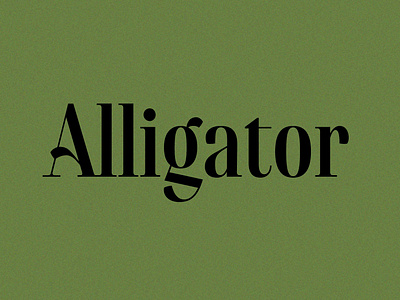 Bayou Typeface: Alligator