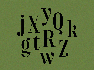 Bayou Typeface: Highlights bayou lettering serif typeface typeface design typography