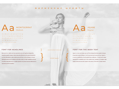 Brandbook fragment | typography part