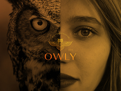 Owl line logo brand branding buy logo design graphic design illustration line logo logo logo design owl logo typography vector