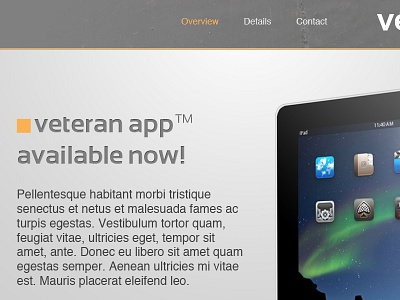 Veteran iPad - Landing Page ipad landingpage microsite productdesign wip