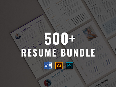 500+ Resume Word Bundle Template