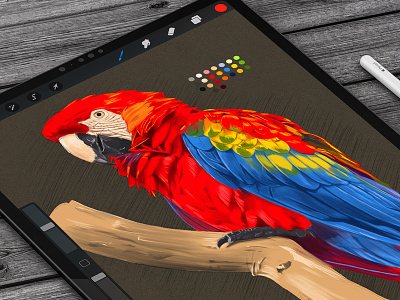 Parrot Digital Sketch Practice art bird bird illustration digital art digital painting ipad mockup painting parrot photoshop psd sketch wip work in progress