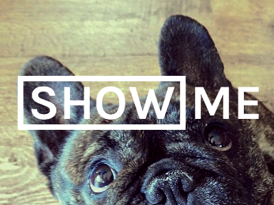 Showme anticipation pug typography