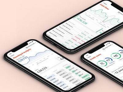 Fido, Small Business Finance Tools app business concept finance mockup