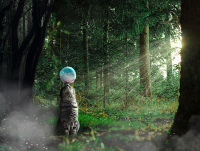 My cat made mystical cat photo photo manipulation photo montage photoshop