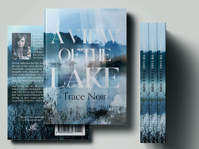 A View Of The Lake book book cover cover cover design fantasy thriller