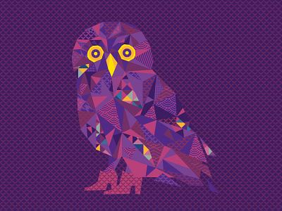 Arillo Owl illustration owl